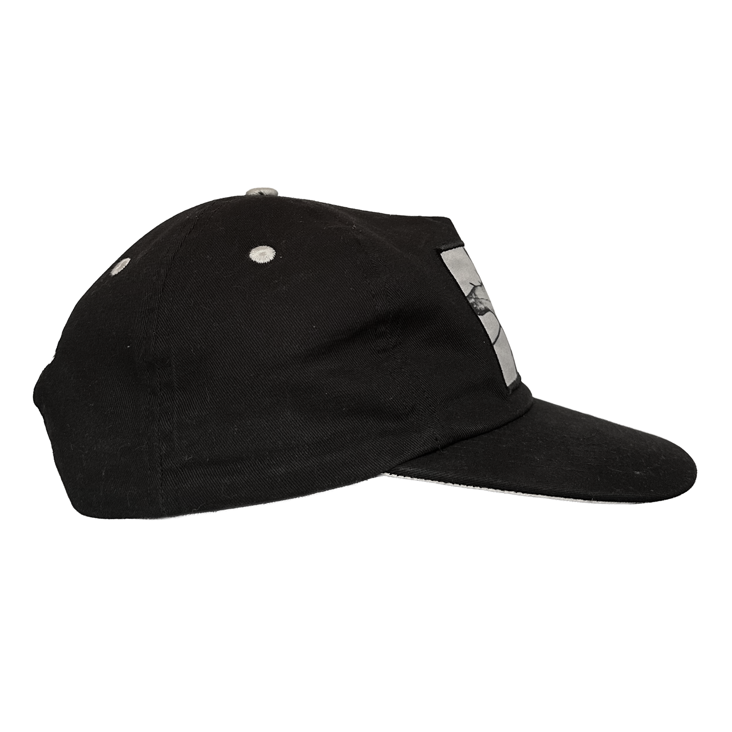 DEADNAME Spears Hat