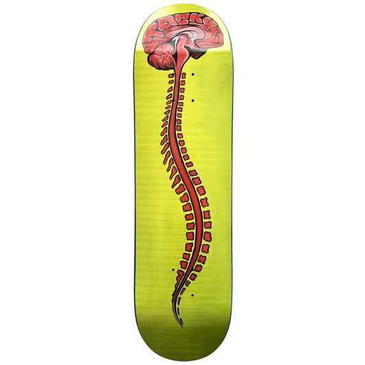 Brain Stem Board